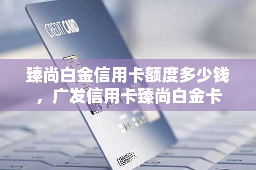 臻尚白金信用卡额度多少钱，广发信用卡臻尚白金卡