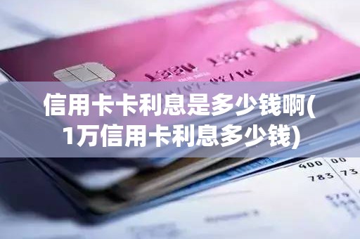 信用卡卡利息是多少钱啊(1万信用卡利息多少钱)