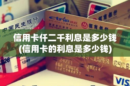 信用卡仟二千利息是多少钱(信用卡的利息是多少钱)