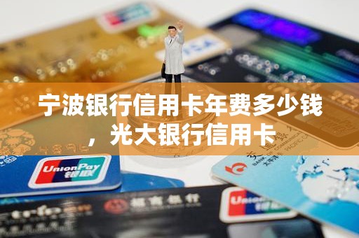 宁波银行信用卡年费多少钱，光大银行信用卡