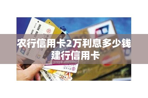 农行信用卡2万利息多少钱 建行信用卡