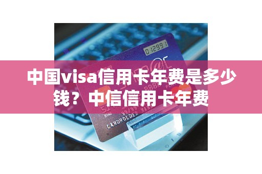 中国visa信用卡年费是多少钱？中信信用卡年费