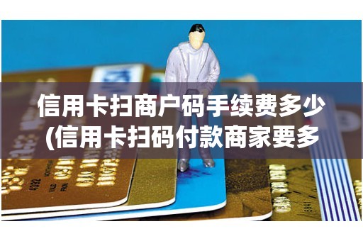信用卡扫商户码手续费多少(信用卡扫码付款商家要多少手续费)