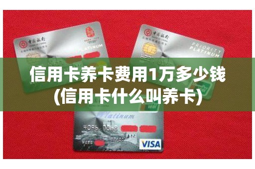 信用卡养卡费用1万多少钱(信用卡什么叫养卡)
