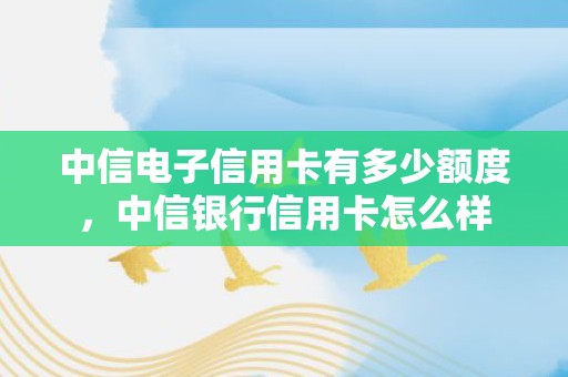 中信电子信用卡有多少额度，中信银行信用卡怎么样