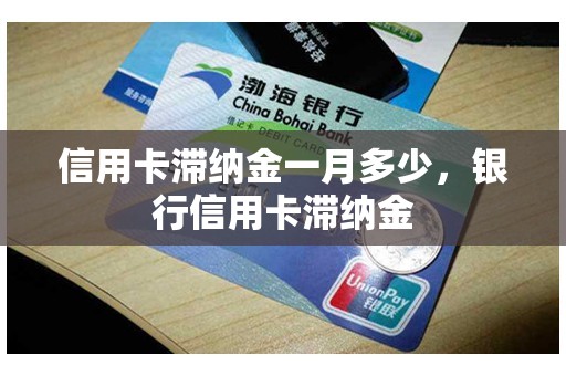 信用卡滞纳金一月多少，银行信用卡滞纳金