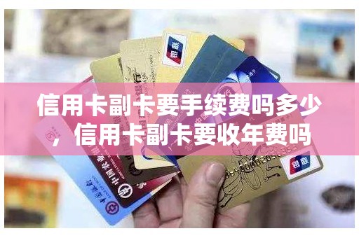 信用卡副卡要手续费吗多少，信用卡副卡要收年费吗