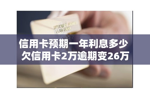 信用卡预期一年利息多少 欠信用卡2万逾期变26万