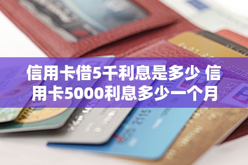 信用卡借5千利息是多少 信用卡5000利息多少一个月