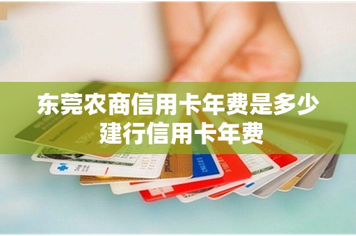 东莞农商信用卡年费是多少 建行信用卡年费