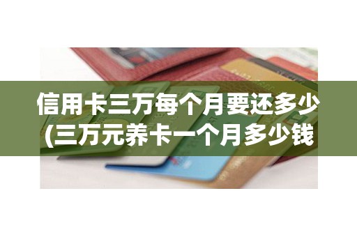 信用卡三万每个月要还多少(三万元养卡一个月多少钱)