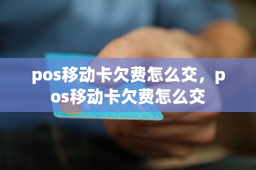 pos移动卡欠费怎么交，pos移动卡欠费怎么交