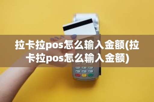 拉卡拉pos怎么输入金额(拉卡拉pos怎么输入金额)