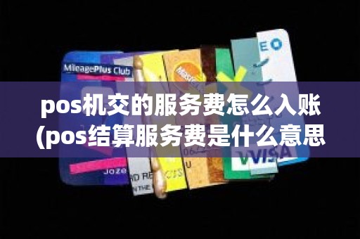 pos机交的服务费怎么入账(pos结算服务费是什么意思)