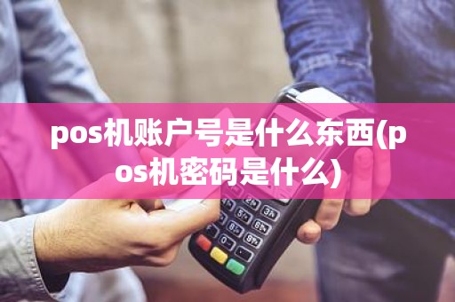 pos机账户号是什么东西(pos机密码是什么)