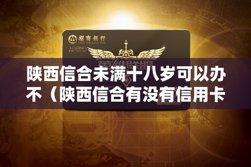 陕西信合未满十八岁可以办不（陕西信合有没有信用卡）