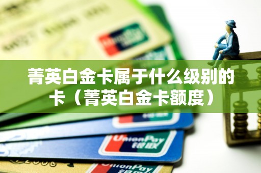 菁英白金卡属于什么级别的卡（菁英白金卡额度）