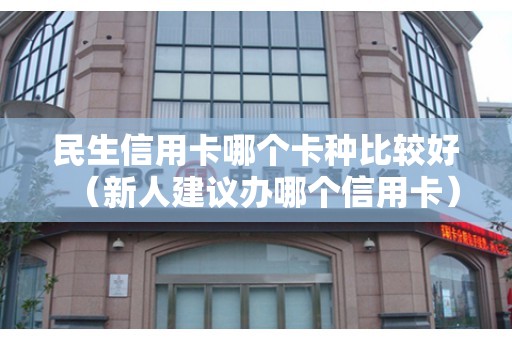 民生信用卡哪个卡种比较好（新人建议办哪个信用卡）