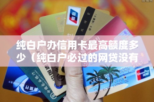 纯白户办信用卡最高额度多少（纯白户必过的网贷没有信用卡）