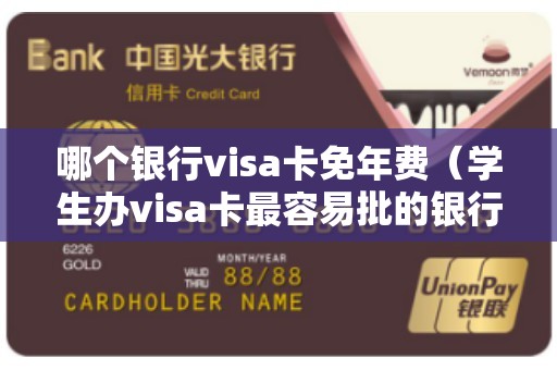 哪个银行visa卡免年费（学生办visa卡最容易批的银行）