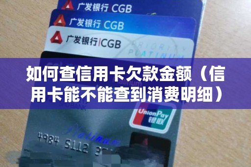 如何查信用卡欠款金额（信用卡能不能查到消费明细）