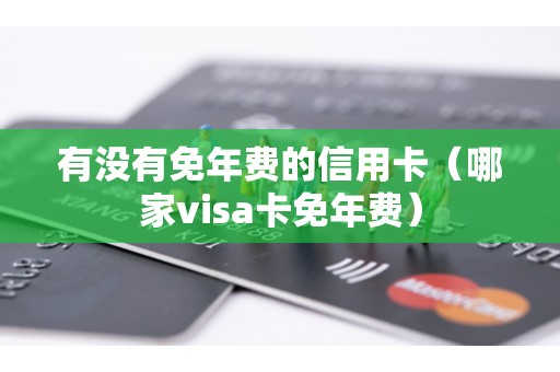 有没有免年费的信用卡（哪家visa卡免年费）
