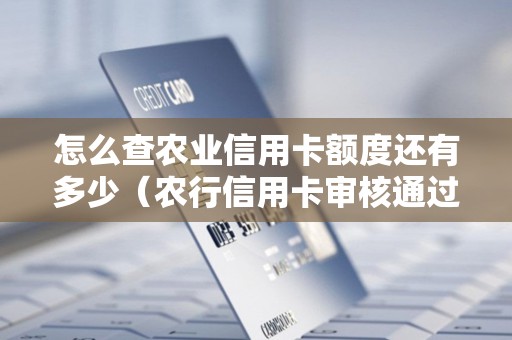 怎么查农业信用卡额度还有多少（农行信用卡审核通过怎么查额度）