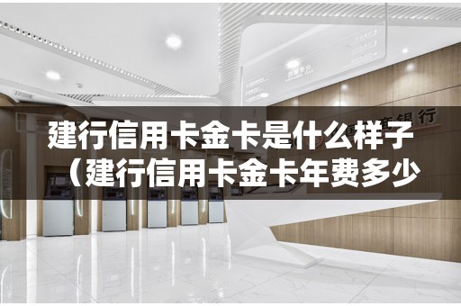 建行信用卡金卡是什么样子（建行信用卡金卡年费多少）