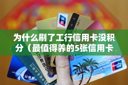 为什么刷了工行信用卡没积分（最值得养的5张信用卡）