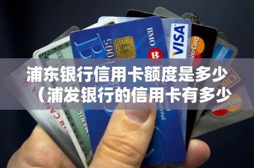 浦东银行信用卡额度是多少（浦发银行的信用卡有多少额度）