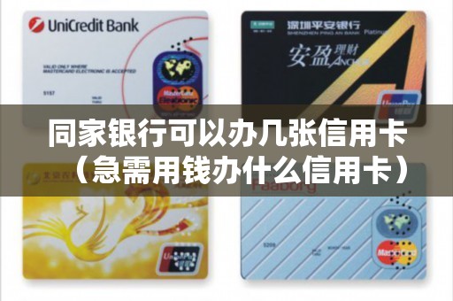 同家银行可以办几张信用卡（急需用钱办什么信用卡）