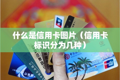 什么是信用卡图片（信用卡标识分为几种）