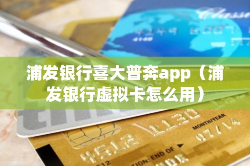 浦发银行喜大普奔app（浦发银行虚拟卡怎么用）