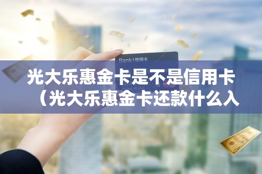 光大乐惠金卡是不是信用卡（光大乐惠金卡还款什么入账）