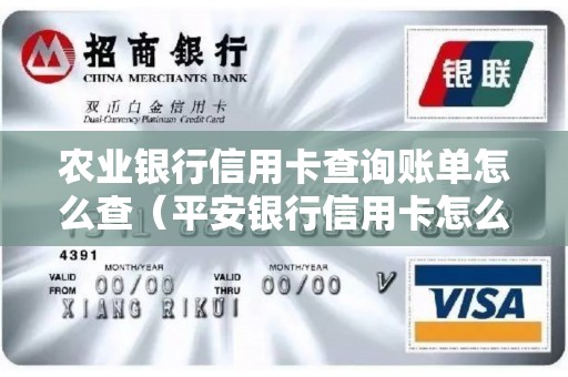 农业银行信用卡查询账单怎么查（平安银行信用卡怎么查账单）