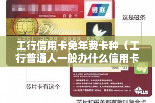 工行信用卡免年费卡种（工行普通人一般办什么信用卡）