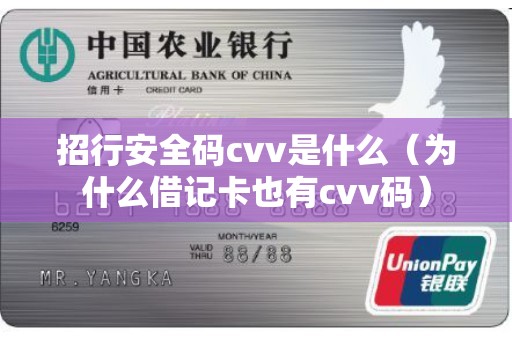 招行安全码cvv是什么（为什么借记卡也有cvv码）