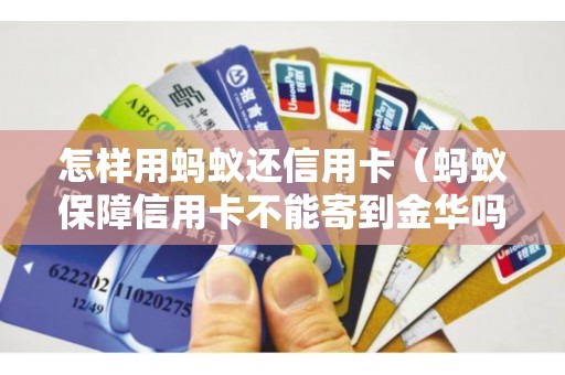 怎样用蚂蚁还信用卡（蚂蚁保障信用卡不能寄到金华吗）