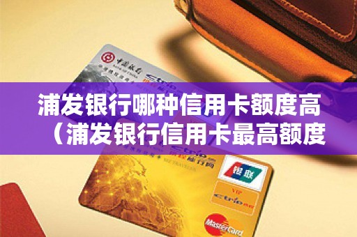 浦发银行哪种信用卡额度高(浦发银行信用卡最高额度) 浦发银行哪种信用卡额度高(浦发银行信用卡最高额度)