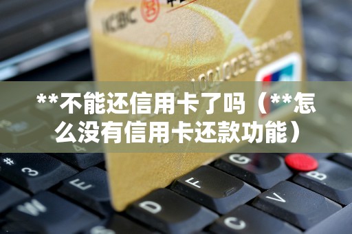 **不能还信用卡了吗（**怎么没有信用卡还款功能）