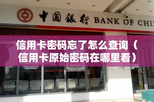 信用卡密码忘了怎么查询（信用卡原始密码在哪里看）