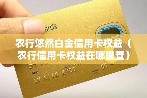 农行悠然白金信用卡权益（农行信用卡权益在哪里查）