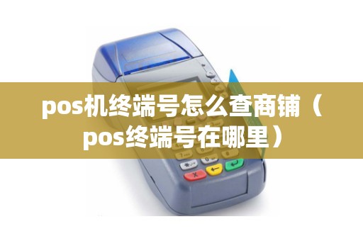 pos机终端号怎么查商铺（pos终端号在哪里）