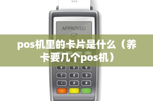 pos机里的卡片是什么（养卡要几个pos机）