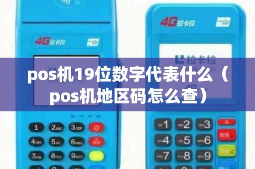 pos机19位数字代表什么（pos机地区码怎么查）
