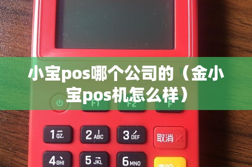 小宝pos哪个公司的（金小宝pos机怎么样）