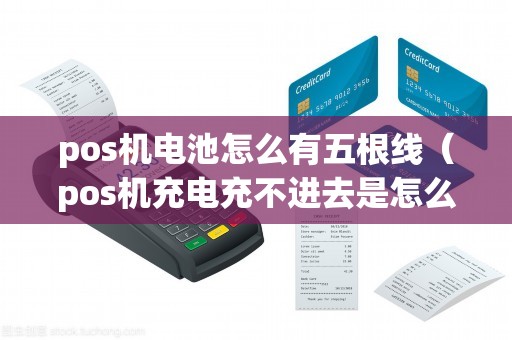 pos机电池怎么有五根线（pos机充电充不进去是怎么回事）