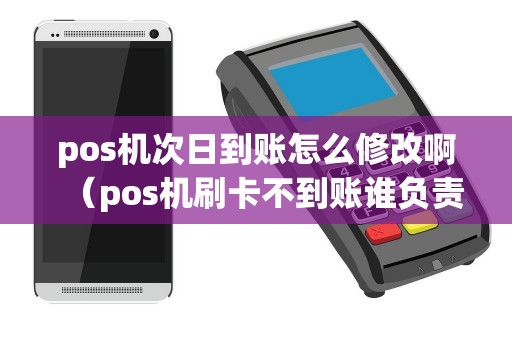 pos机次日到账怎么修改啊（pos机刷卡不到账谁负责）