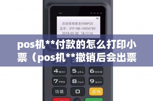 pos机**付款的怎么打印小票（pos机**撤销后会出票吗）