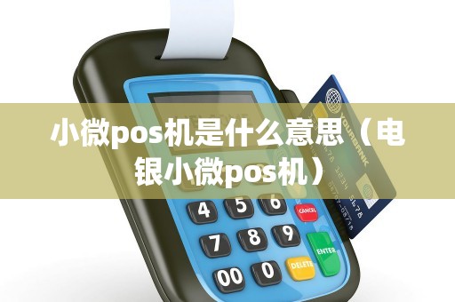 小微pos机是什么意思（电银小微pos机）